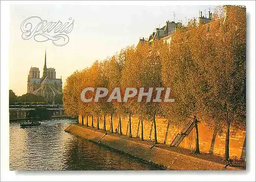 Cartes postales moderne Paris Notre Dame vue de l'Ile Saint Louis