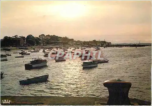 Cartes postales moderne Arcachon Gironde Port des Hors bords