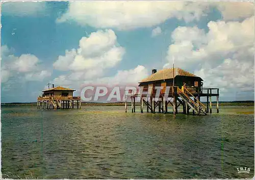 Moderne Karte Bassin d'Arcachon L'Ile aux Oiseaux Maisons sur pilotis