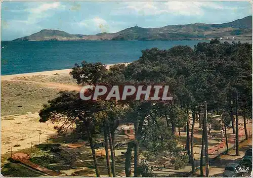 Cartes postales moderne La Cote Vermeille Argeles sur Mer les Pins la Plage au fond les Alberes