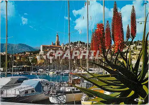 Cartes postales moderne Menton (Alpes Maritimes) Le Vieux port