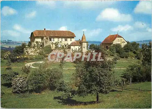 Cartes postales moderne Le Bassin de la Mentue le chateau de Bioley Magnoux au fond les environs d'Orzens et le Bois de