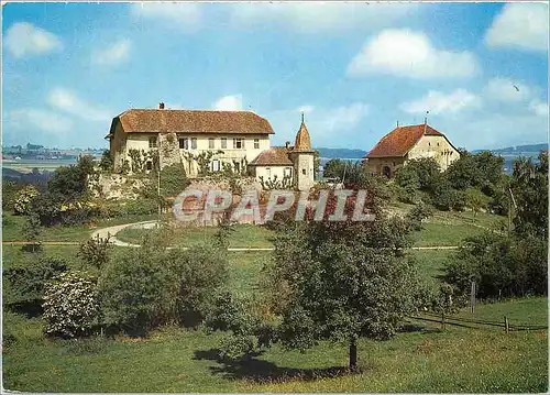 Moderne Karte Le Bassin de la Mentue le chateau de Bioley Magnoux au fond les environs d'Orzens et le Bois de