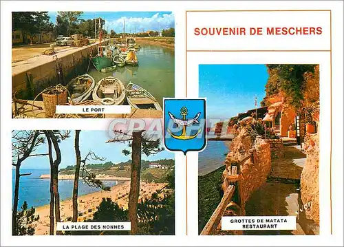 Cartes postales moderne Couleurs et Lumiere de France Meschers (Charente Maritime) Cote de Beaute