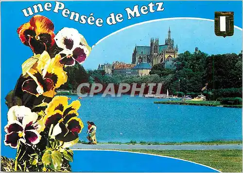 Cartes postales moderne Metz (Moselle) Lorraine (France) Le plan d'eau et la Cathedrale