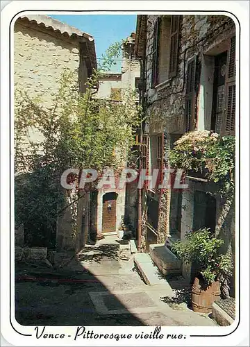 Cartes postales moderne Vence (A M) Pitoresque vieille rue