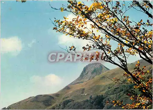 Cartes postales moderne En Auvergne Paysage d'Automne