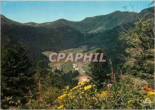 Cartes postales moderne Super Lioran (Cantal) Alt 1250 m le Font d'Alagnon au pied du Col de Rombiere (alt 1554 m)s