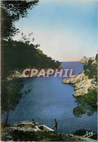 Cartes postales moderne Cassis B du Rh Calanque de Port Pin