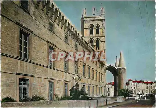 Cartes postales moderne Montpellier Herault La Faculte de medecine et la Cathedrale Saint Pierre