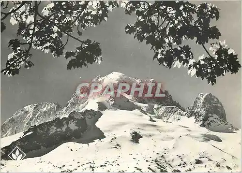 Cartes postales moderne Les Alpes vues par P Tairraz