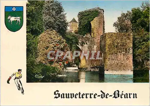 Cartes postales moderne Sauveterre de Bearn