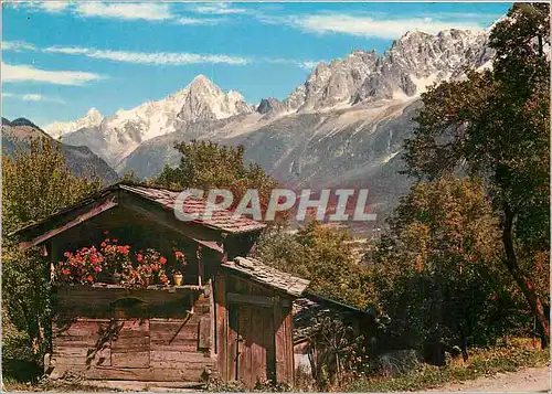 Cartes postales moderne Massif du Mont Blanc Le petit chalet aux geraniums et l'Aiguille du Dru