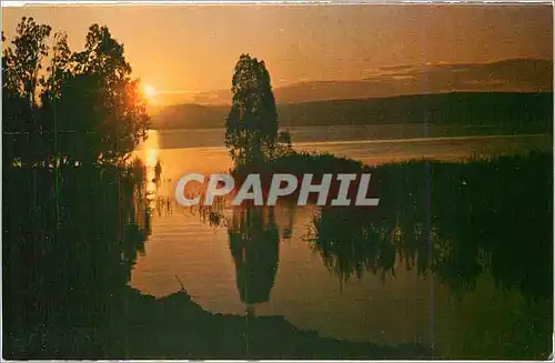 Cartes postales moderne Israel