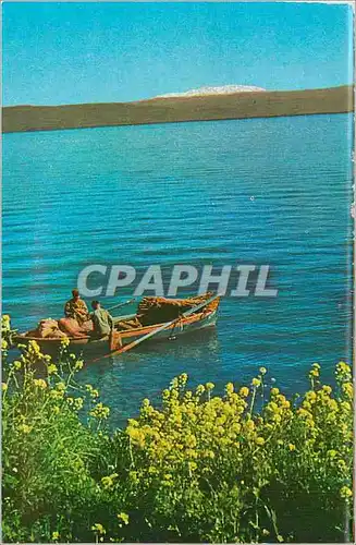 Cartes postales moderne Lake of Galilee A view to Mt Hermon