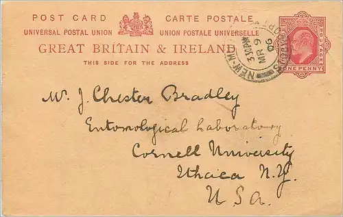 Entier Postal Stationary 1p for USA 1906