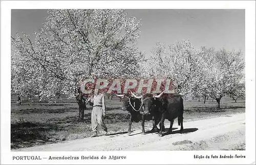Moderne Karte Portugal Amendoeiras floridas do Algarve Attelage Folklore