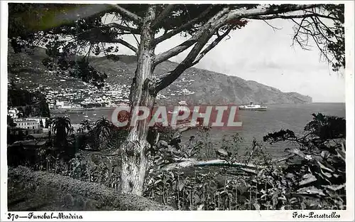 Cartes postales moderne Funchal Madeira