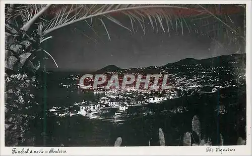 Cartes postales moderne Funchal a noite Madeira