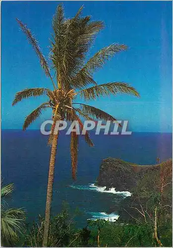 Cartes postales moderne Ile de la Reunion Ocean Indien