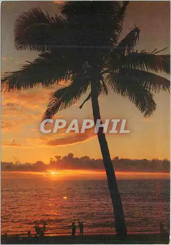 Cartes postales moderne Ile de la Reunion France Ocean Indien Cocotiers