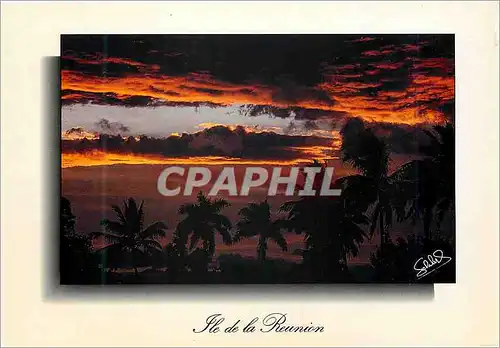 Cartes postales moderne Ile de la Reunion Coucher de soleil Allee de Cocotiers