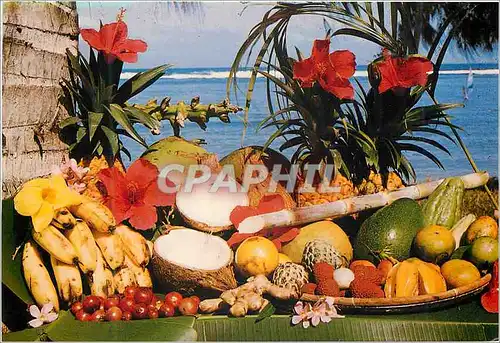 Moderne Karte Ile de la Reunion Fruits exotiques