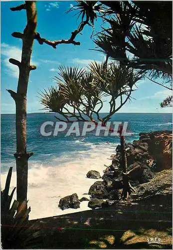 Cartes postales moderne La Reunion Bords de mer vers les cascades