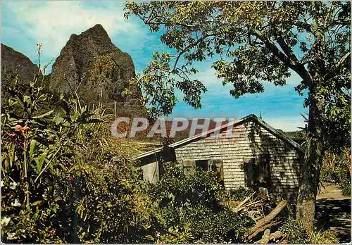 Cartes postales moderne Ile de la Reunion Region de Cilaos