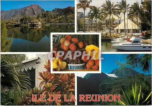 Cartes postales moderne Ile de la Reunion La mare a Joncs St Gilles Case creole Mafate