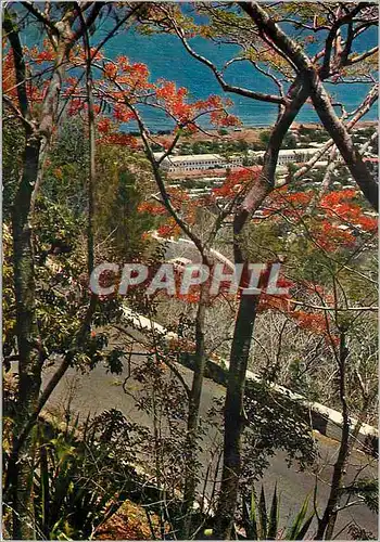 Cartes postales moderne Ile de la Reunion Route de la montagne dominant St Denis