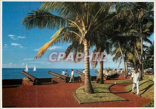 Cartes postales moderne La Reunion