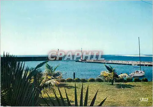 Cartes postales moderne La Reunion Saint Gilles les Bains L entree du port de plaisance