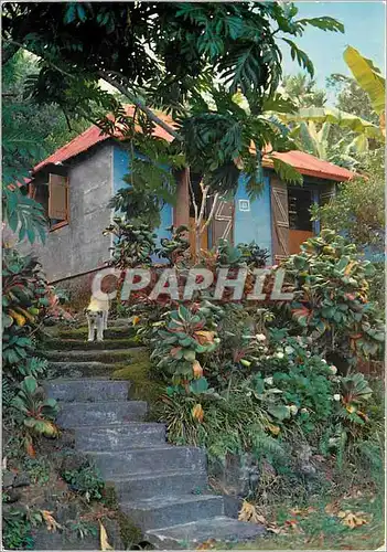 Moderne Karte Reunion Petite case creole pres de Saint Philippe