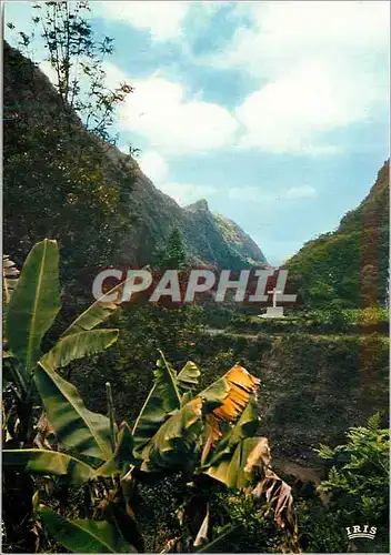 Cartes postales moderne La Reunion Sur la route de Cilaos