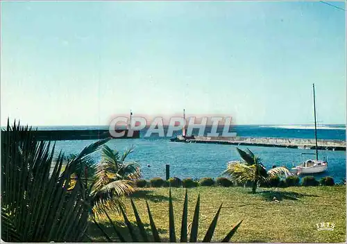 Cartes postales moderne La Reunion Saint Gilles les Bains L Entree du port de plaisance