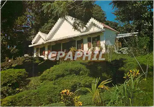 Cartes postales moderne Ile de la Reunion Habitation typique La Montagne