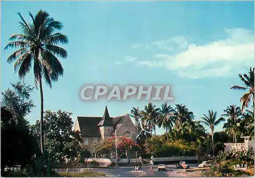 Cartes postales moderne La Reunion Saint Paul Au milieu des cocotiers