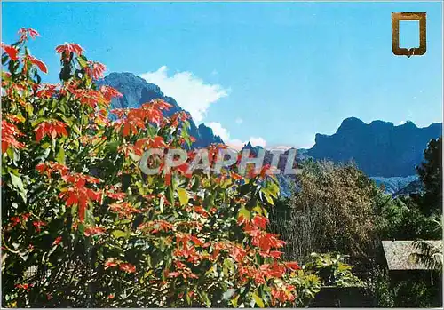 Cartes postales moderne Cirque de Cilaos Ile de la Reunion