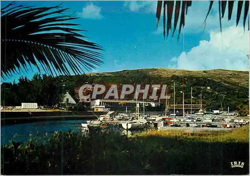 Cartes postales moderne La Reunion Saint Gilles Le port Bateaux