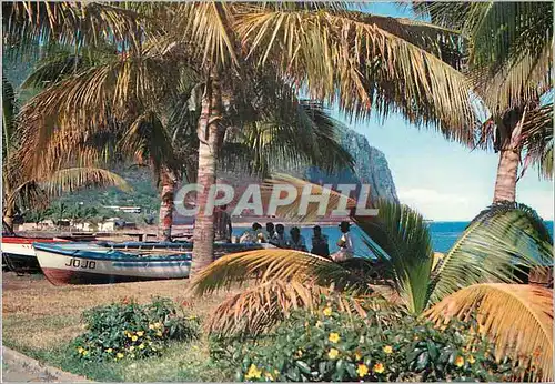 Cartes postales moderne Reunion Saint Denis Le Cap Bernard
