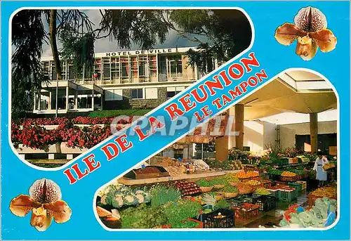 Cartes postales moderne Ile de la Reunion Le marche