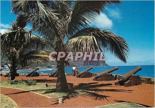Cartes postales moderne Ile de la Reunion Le barachois St Denis