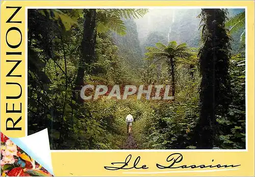 Cartes postales moderne Ile de la Reunion St Benoit Grand Etang