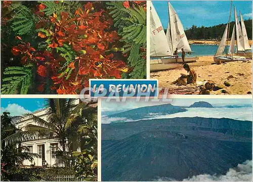 Cartes postales moderne Ile de la Reunion Fleurs de flamboyants le club nautique a Saint Gilles Maison Creole