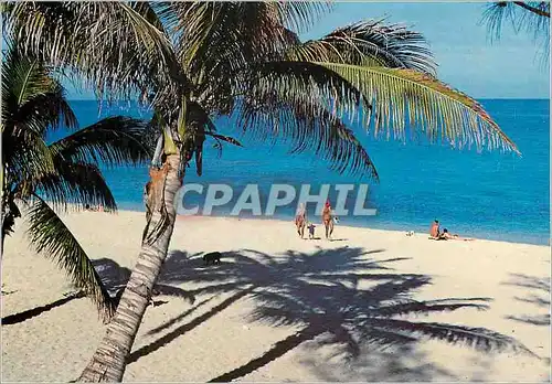 Cartes postales moderne Ile de la Reunion Plage de Boucan Canot St Gilles