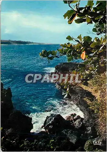 Cartes postales moderne La Reunion Paysage dans le sud