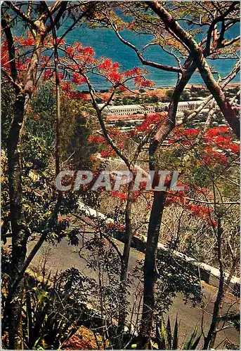 Cartes postales moderne Ile de la Reunion Route de la montagne dominant St Denis