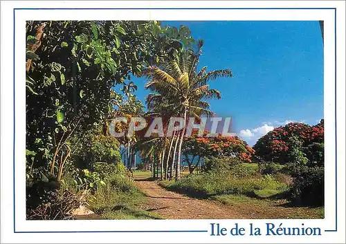 Moderne Karte Ile de la Reunion Cocotiers a Sainte Marie