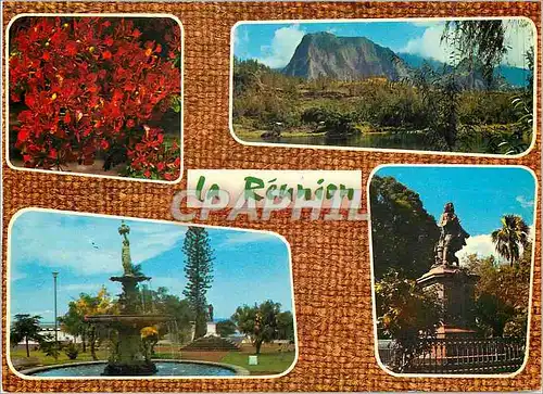 Cartes postales moderne L Ile de la Reunion Fleurs de Flamboyants La mare a poule d eau